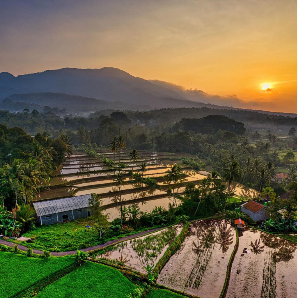 Indonesia visit visa and travel with City Holidays Travel & Tours